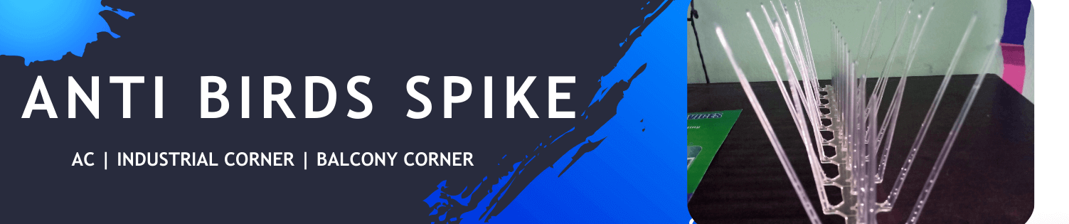 bird spike